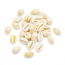 Кулон Підвіска Ракушка Каурі, Бежевий, 17~22x11~16x9~11мм, Отвір 1мм, близько 28шт/50г, (13WB30945)