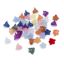 Koraliki Akrylowe, Przezroczyste, Matowy, Kwiat, Mix, 17.5x12mm, 38szt/25g (14WB9588)