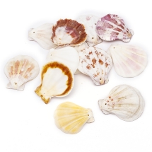 Koraliki Muszelki Morski, Przegrzebek, Mix, 32-45x29-42x6-7mm, 50g~12szt (13WB14009)