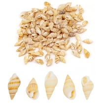 Морські Мушлі, без Отвору, Перу, 10-14x5-7x5-7мм, близько 165шт/50г, (13WB14034)