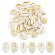 Muszle Morskie Kauri Kolor: Beżowy Bez Otworu 16~18x12~13x5~7mm 50g/55szt (13WB14047)