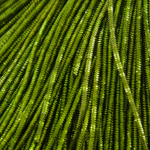 Bajorek do Haftu Truncal 4 Grani Miedź 1mm Kolor: Jasnozielony 4.9m/10g (13WB18426)