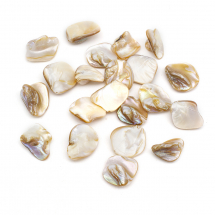 Koraliki Naturalna Rzeczna Masa Perłowa, Samorodki, 18-22x15-21x7.5-10mm, około 20szt/50g (13WB18892)