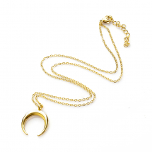 Намисто з Кулоном, Нержавіюча Сталь, Півмісяць, Покриття Золото, Застібка Карабін-лобстер, Розмір: Ланцюг 45.7см, Кулон: 23x19.5x3мм, (13WB22207)