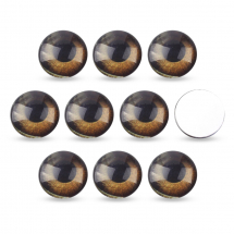 Kaboszony Szklany Oko, do Rękodzieła i Biżuterii, Okrągłe, do DIY, Brązowy, 10x3.5mm, 10 szt (13WB24441)