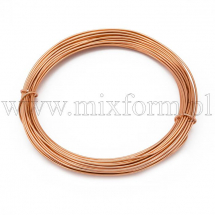 Drut Aluminiowy Okrągły do Rękodzieła do DIY, Brązowy, 1mm, 10m/szpula (13WB24593)
