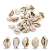 Koraliki Akrylowe, Imitacja Kamienia Szlachetnego, Muszla Cowrie, 19.5x12x10mm, 25szt/25g (13WB24882)