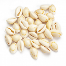 Zawieszki Wisiorki Naturalne Morskie Muszle Kauri, 18-20x13-14mm, 30szt/50g (13WB27741)