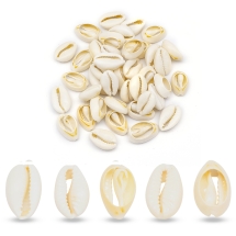 Морська Мушля Каурі без Отвору Папайя 18-20x13-14x6-8мм близько 40шт/50г (13WB27752)