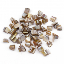 Koraliki z Rzeczne Masy Perłowej, Jasny Khaki, 5-10x8-12x9-10mm, 52szt/50g, (13WB27776)