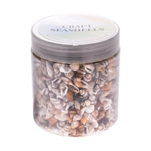 Muszle Morskie, Bez Otworu do Rękodzieła, Beżowy, 7-12x3-7x3-7mm, 1400szt/słoik (13WB27788)