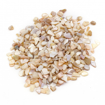 Rzeczne Muszle Okruchy, Bez Otworu, Beżowy, 1-16x1-5x0.5-5mm, 800szt/100g (13WB27802)
