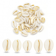 Muszle Kauri Bez Otworu, Kremowy Biały, 20-28x15-20x8-9mm, 26szt/50g (13WB27805)