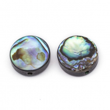 Koraliki z Morskiej Masy Perłowej, Abalone/Paua, Płaskie Okrągłe, Niefarbowane, 10x3,5mm, Otwór 0.8mm, 2szt (13WB27827)