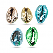 Muszle Morskie Kauri, z Powłoką Galwaniczną, Bez Otworu, Mix,17-21x11-14x6-8mm, 5szt (13WB18829)