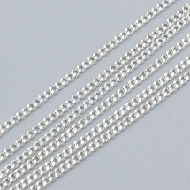 Ланцюг Вите Плетіння, Залізо, Колір: Срібло, Ланка: 2.7x2мм, Товщина 0.6мм, (13WB14952)
