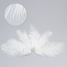 Перо Страусине Декоративне, Біле, 15~20см, 5шт/упак, (13WB13628)