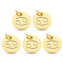 Підвіска Кулон Кругла Нержавіюча Сталь, Знак Зодіаку Рак, Золото, 12х1мм, Отвір 3мм, (13WB23769)