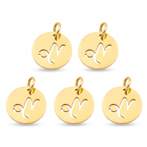 Підвіска Кулон Кругла Нержавіюча Сталь, Знак Зодіаку Козеріг, Золото, 12х1мм, Отвір 3мм, (13WB23779)